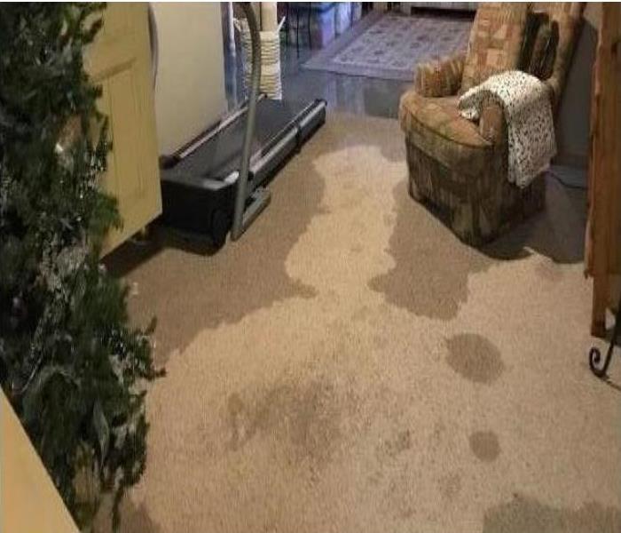 Soaking Wet Carpet